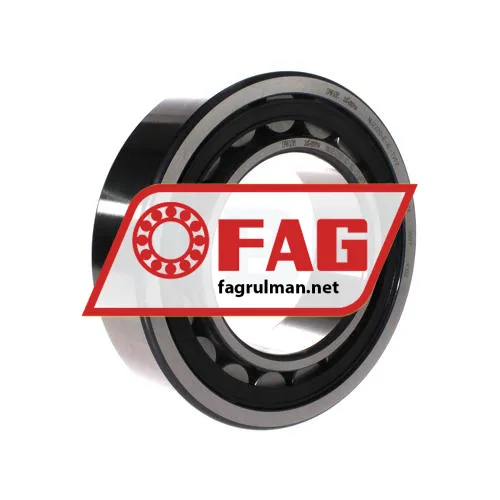 FAG NU2220-E-XL-TVP2
