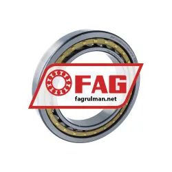 FAG NU1032-XL-M1-F1-C4
