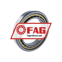 FAG NU1032-XL-M1-F1-C4 rulman resim 2