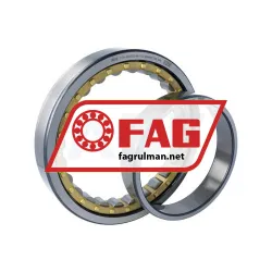 FAG NU1032-XL-M1-F1-C4 rulman resim 3