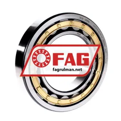 FAG NJ220-E-XL-M1-C3