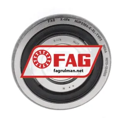 FAG NUP2304-E-XL-TVP2 rulman resim 2