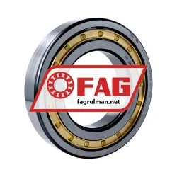 FAG NUP219-E-XL-M1