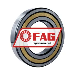 FAG NUP219-E-XL-M1 rulman resim 2