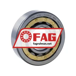 FAG NJ306E-M1