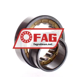 FAG NJ2210E-M1A-C4 rulman resim 2