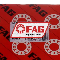 FAG NJ2210E-M1A-C4 rulman resim 5