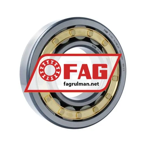 FAG NJ318-E-M1