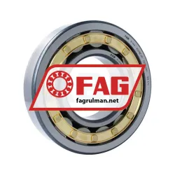 FAG NJ318-E-M1