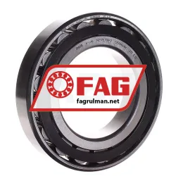 FAG N217-E-TVP2-C3