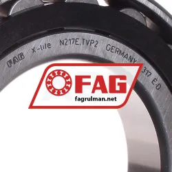 FAG N217-E-TVP2-C3 rulman resim 2