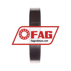 FAG N217-E-TVP2-C3 rulman resim 4