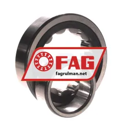 FAG NU311E-TVP2 rulman resim 3