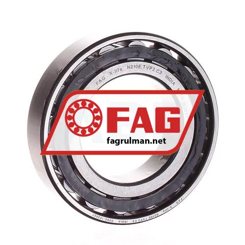 FAG N210E-TVP2-C3