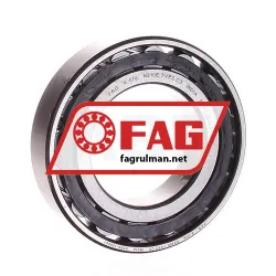 FAG N210E-TVP2-C3