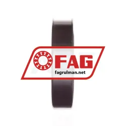 FAG N210E-TVP2-C3 rulman resim 4