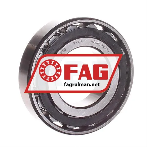 FAG N208E-TVP2-C3