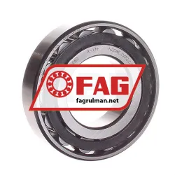 FAG N208E-TVP2-C3