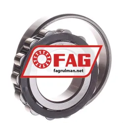 FAG N208E-TVP2-C3 rulman resim 2