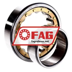FAG NJ2210E-M1-C3 rulman resim 2