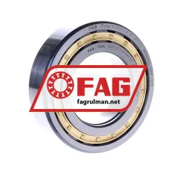 FAG NUP2211-E-XL-M1-C3