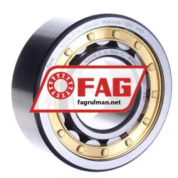 FAG NJ2310-E-XL-M1A-C4