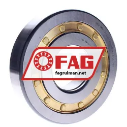 FAG NUP415-XL-M1A-C4