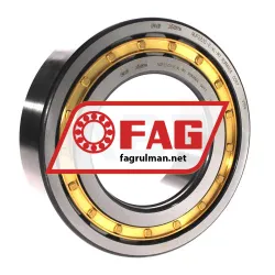 FAG NUP2220-E-XL-M1