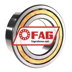 FAG NUP2220-E-XL-M1 rulman resim 2