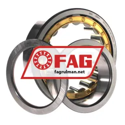FAG NUP2220-E-XL-M1 rulman resim 3