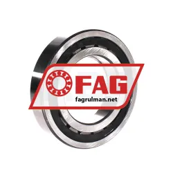 FAG NUP214-E-XL-TVP2-C3 rulman resim 2