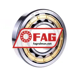 FAG NU315-E-XL-M1-F1-C4