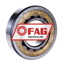 FAG NU313-E-XL-M1A-C4