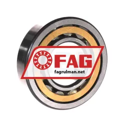 FAG NU310-E-XL-M1-C3 rulman resim 2