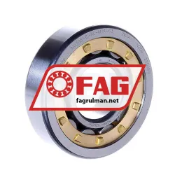 FAG NU305-E-XL-M1A-C3