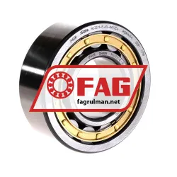 FAG NJ2311-E-XL-M1-C4