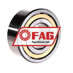 FAG NJ2311-E-XL-M1-C4 rulman resim 2