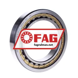 FAG NJ1018-XL-M1-C3