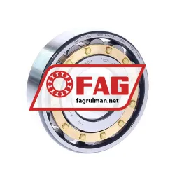 FAG N306-E-XL-M1