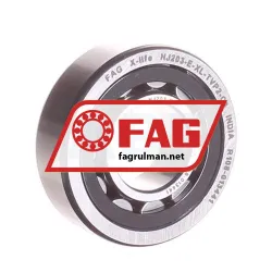 FAG NJ203-E-XL-TVP2-C3