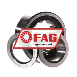 FAG NUP2311-E-XL-TVP2-C3 rulman resim 3
