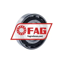 FAG N208-E-XL-TVP2-C3