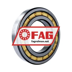 FAG NUP226-E-XL-M1-C3