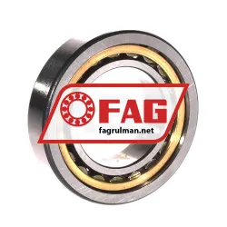 FAG NU1007-XL-M1 rulman resim 2