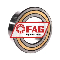FAG NJ2217-E-XL-M1 rulman resim 2