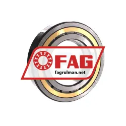 FAG NUP220-E-XL-MPAX-C3 rulman resim 2