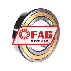 FAG NJ220-E-XL-M1A rulman resim 2