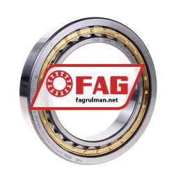 FAG NU1019-XL-M1-F1-C4