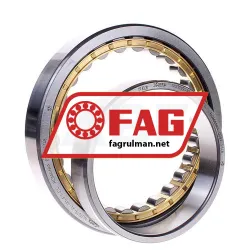 FAG NU1019-XL-M1-F1-C4 rulman resim 2