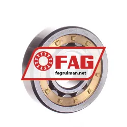 FAG NJ305-E-XL-M1A-C3